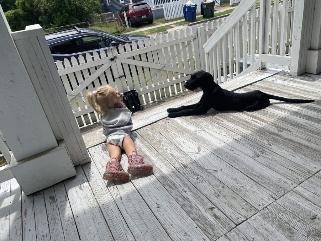 porch-pals